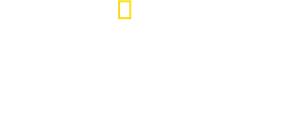 Anos 2000: Grandes Tragédias — Logos 3