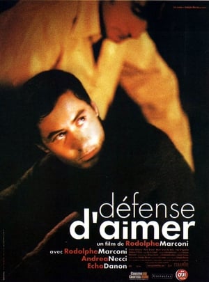 Poster Défense d'aimer 2002