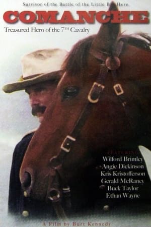 Poster Comanche 2000