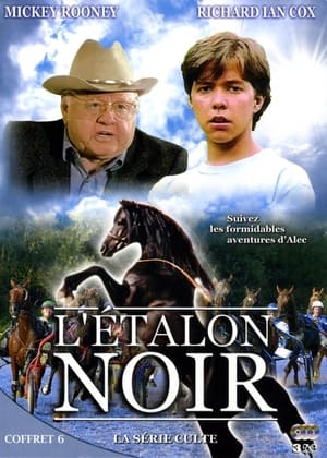 Poster L'Étalon noir Saison 3 Épisode 7 1992