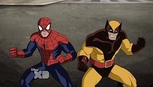 Der ultimative Spiderman: 1×10