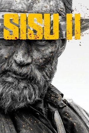 Sisu 2