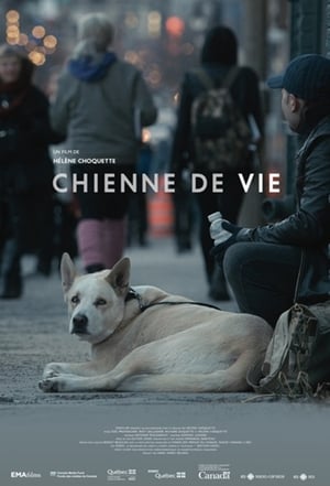 A Dog's Life film complet