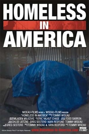 Homeless in America poster