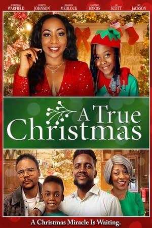 Poster A True Christmas (2022)