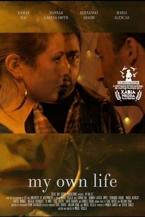 Poster My Own Life (2017)