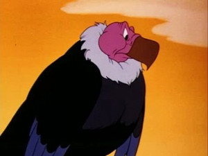 L'œuf de condor géant