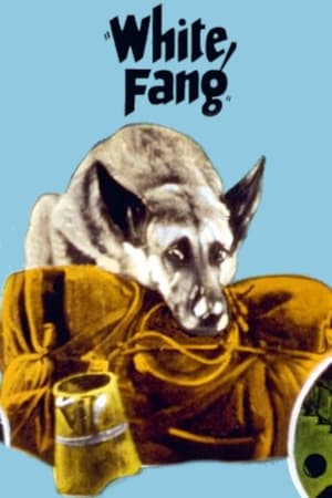 Poster White Fang 1925