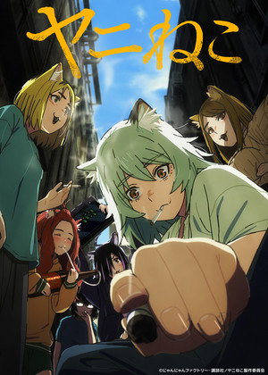 poster Chainsmoker Cat