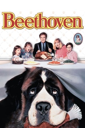 Image Beethoven - un câine puțin prea mare