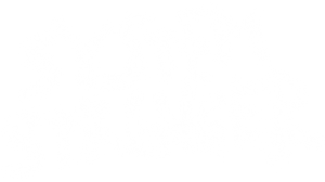 Transtorno Explosivo — Logos 3