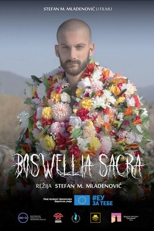 Poster Boswellia sacra 2022