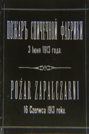 Pożar zapałczarni (1913)