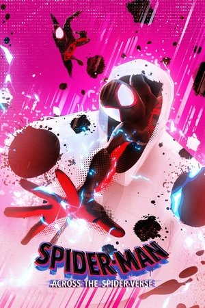 poster Spider-Man: Across the Spider-Verse