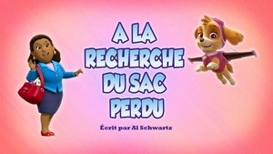 À la recherche du sac perdu