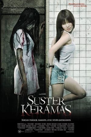 Poster Evil Nurse (2009)
