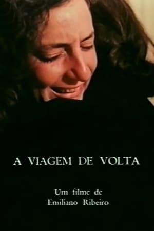 Poster A Viagem de Volta (1990)