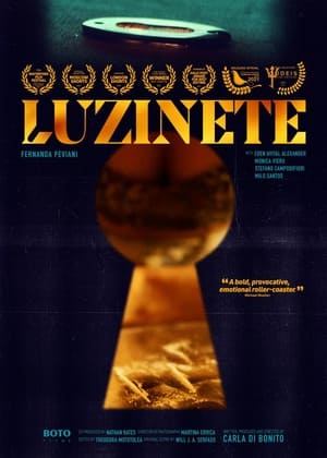 Poster Luzinete (2021)
