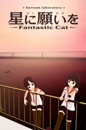 Wish Upon a Star: Fantastic Cat 7
