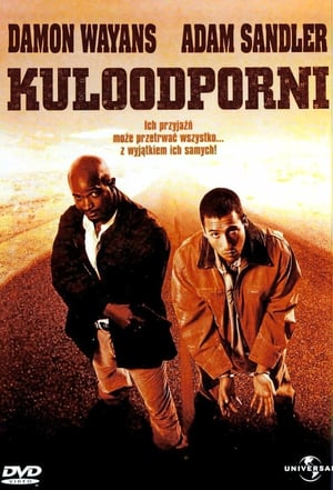 Poster Kuloodporni 1996