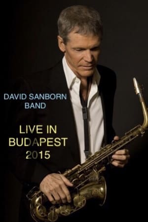 Poster David Sanborn Band Live in Budapest 2015 ()