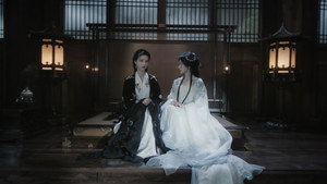 Veil of Shadows: 1×19