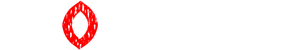 Clownwise — Logos 1