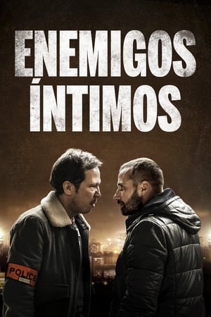 Poster Enemigos íntimos 2018