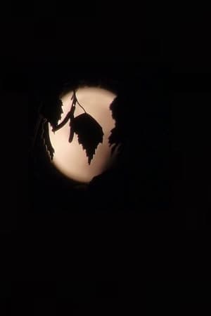 poster_Northern Range