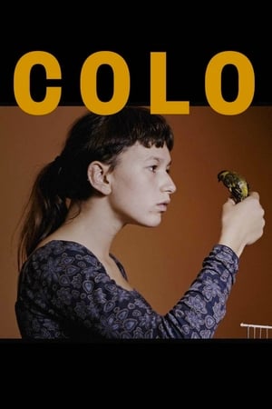 Poster Colo (2017)