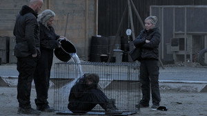 Épisode 8