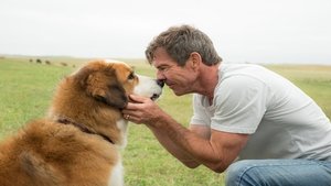 A Dog’s Purpose 2017