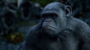 Dawn of the Planet of the Apes (2014) Hindi Dubbed