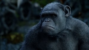 Dawn of the Planet of the Apes (2014)