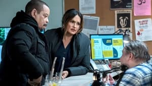 Law & Order – Unità vittime speciali 24×14