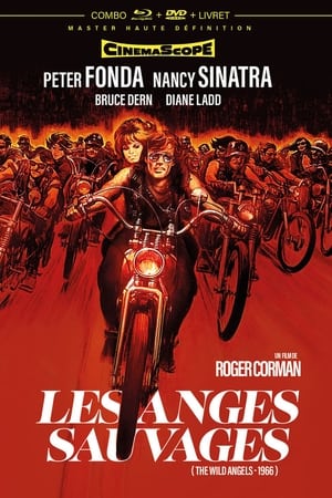 Les Anges sauvages 1966