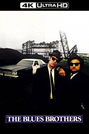 Постер фильма «Братья Блюз (1980)» — (31 из 84)