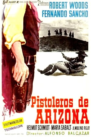Poster Los pistoleros de Arizona 1965