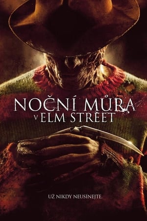 Poster Noční můra v Elm Street 2010