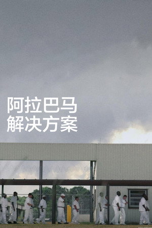 阿拉巴马解决方案