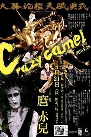 Poster Crazy Camel (2012)