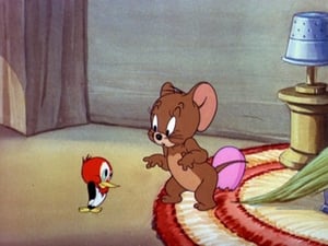 Tom And Jerry: 1×41