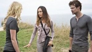 Nikita: 2×8