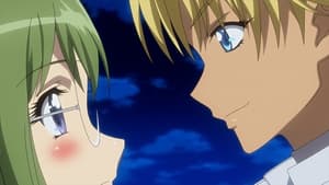 Tokyo Mew Mew New~♡: 1×8