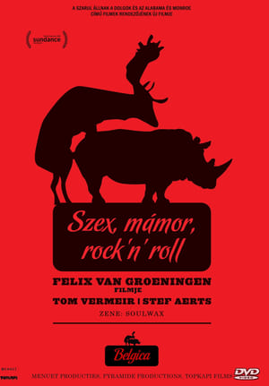 Poster Szex, mámor, rock'n'roll 2016