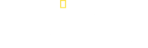 Segredos dos Pinguins — Logos 3