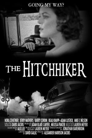Poster The Hitchhiker 2014