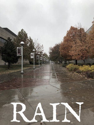 Rain 2