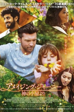 アメイジング・ジャーニー 神の小屋より (2017)