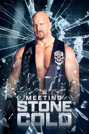 Poster Meeting Stone Cold (2021)